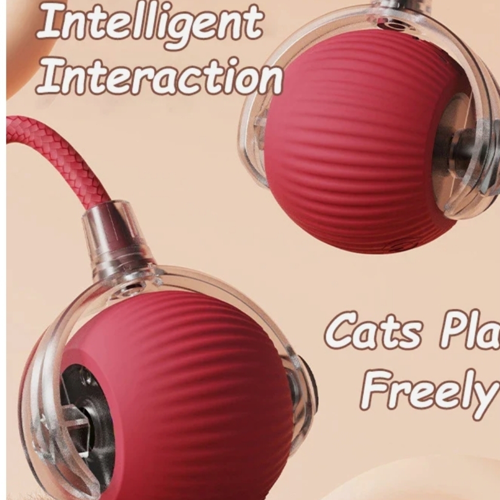 Interactive Red Cat Toy
